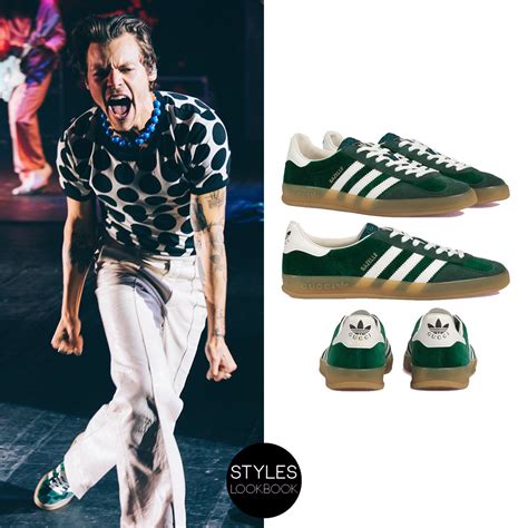 adidas harry styles gucci